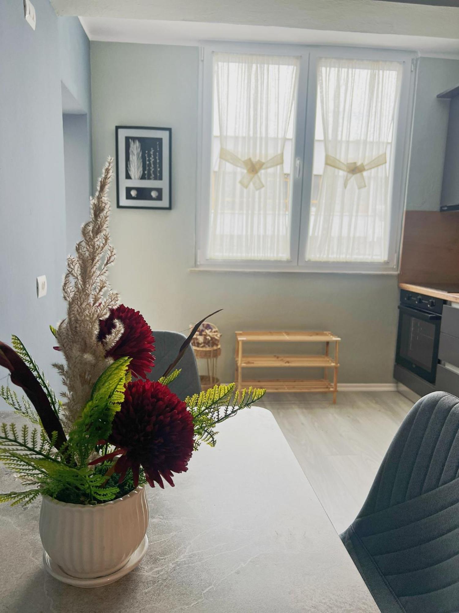 Joyful Apartment Tiran Dış mekan fotoğraf